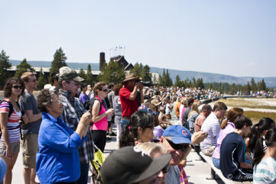 Crowds gather in Yellowstone National Park to watch the geyser Old Faithful erupt.