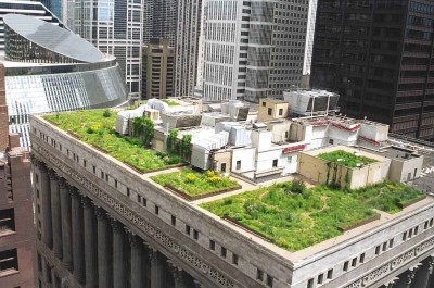 Chicago City Hall Green Roof