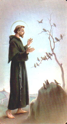 St. Francis With Plants...