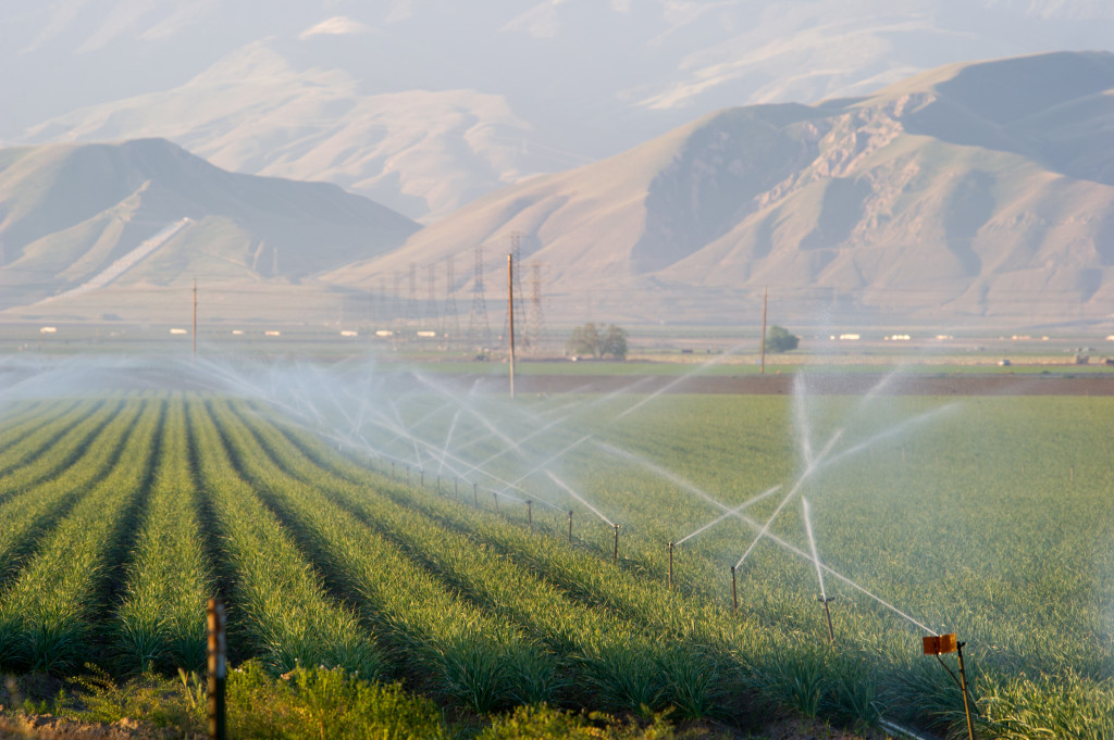 Water, a precious commodity, irrigates a field in southern San Joaquin Valley. (California WaterBlog)