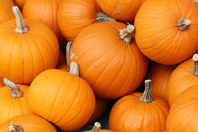 640px-Bake_these_(pumpkins_in_Toronto)