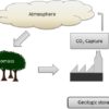 Bio-energy with carbon capture and storage