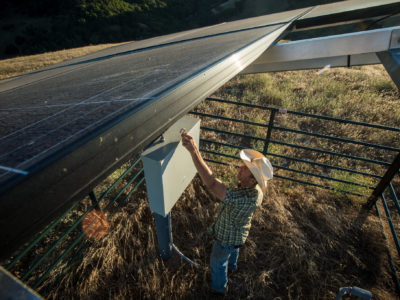 California rancher Ned Wood unlocks the controls for the photovoltaic solar cells and well pump on Friday, Jul. 24, 2015 in Contra Costa County, CA.