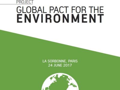 Global Pact for the Environment, draft cover