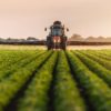 California uses more pesticides than any other U.S. state, primarily because of the large acreage of high value specialty crops. Photo credit: Fotokostic, Shutterstock
