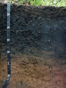 Carbon-rich soil, in eastern Pennsylvania, from Flickr user soilscience