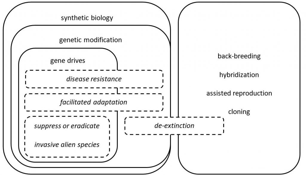 Conservation synthetic biology technologies (solid lines, plain text) and applications (dashed lines, italicized text).