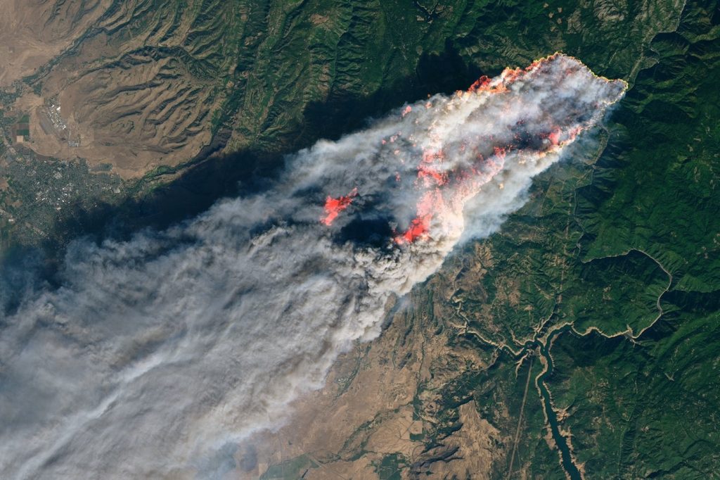 Forest fire via NASA Earth Observatory