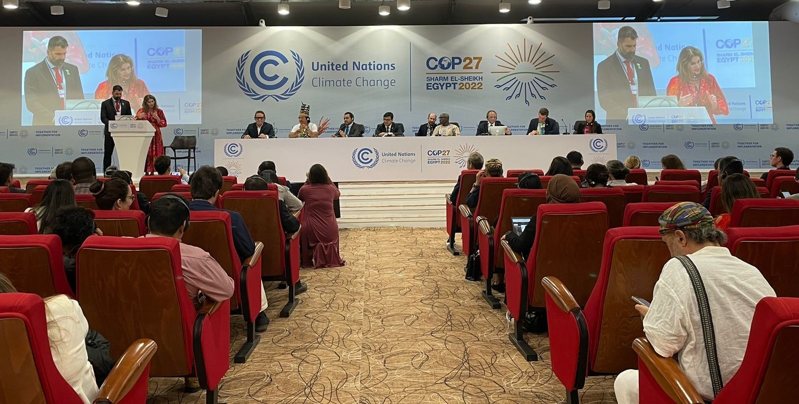 Subnational Solutions to Deforestation on Display at COP27