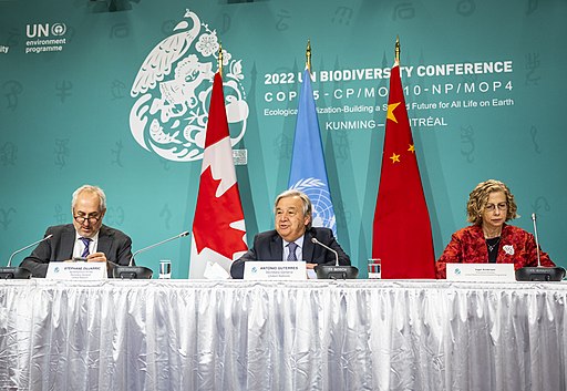 UN officials at the COP15 in Montreal