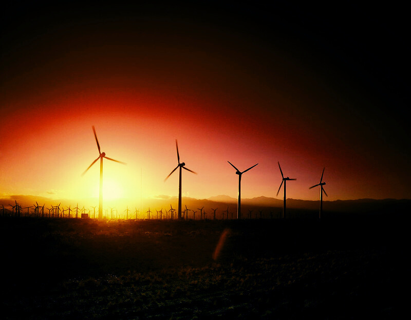 Wind turbines in sunlight