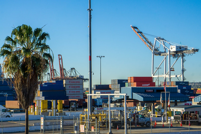 Port crane and cargo