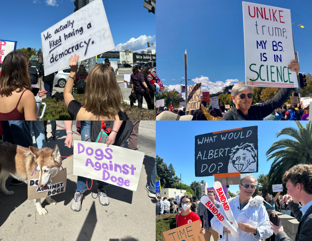 Protest scenes. (Photos by UCLA Emmett Institute)