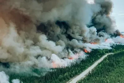 A large wildfire engulfs a dense forest, producing thick clouds of smoke and visible flames, with a road cutting through the trees in the foreground.