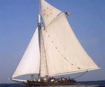 A classic sailing ship with large white sails and an American flag glides on the ocean under a clear blue sky, carrying a group of people on its deck.