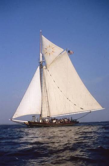 A classic sailing ship with large white sails and an American flag glides on the ocean under a clear blue sky, carrying a group of people on its deck.