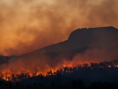 A wildfire burns through a forested hillside at dusk, with orange flames and thick smoke rising against a dark mountain silhouette and glowing, hazy sky.