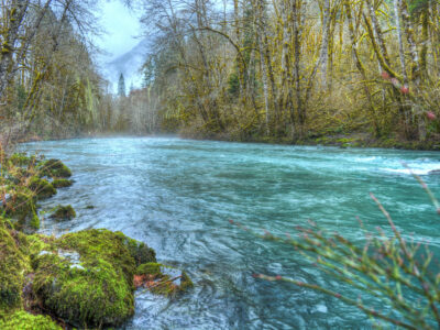 A turquoise river flows through a mossy forest with bare trees under a cloudy sky.